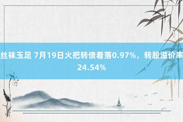 丝袜玉足 7月19日火把转债着落0.97%，转股溢价率24.54%