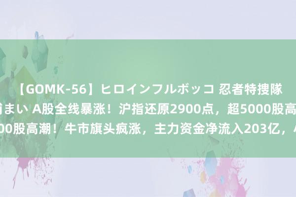 【GOMK-56】ヒロインフルボッコ 忍者特捜隊バードファイター 三浦まい A股全线暴涨！沪指还原2900点，超5000股高潮！牛市旗头疯涨，主力资金净流入203亿，小单净流出33.6亿