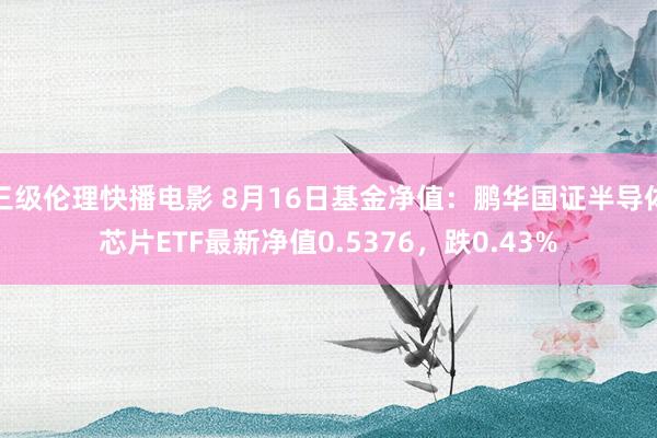 三级伦理快播电影 8月16日基金净值：鹏华国证半导体芯片ETF最新净值0.5376，跌0.43%