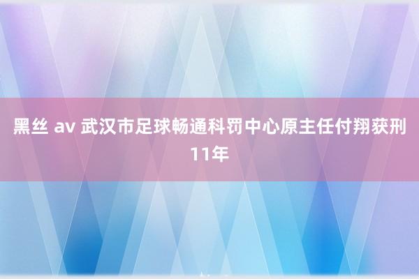 黑丝 av 武汉市足球畅通科罚中心原主任付翔获刑11年