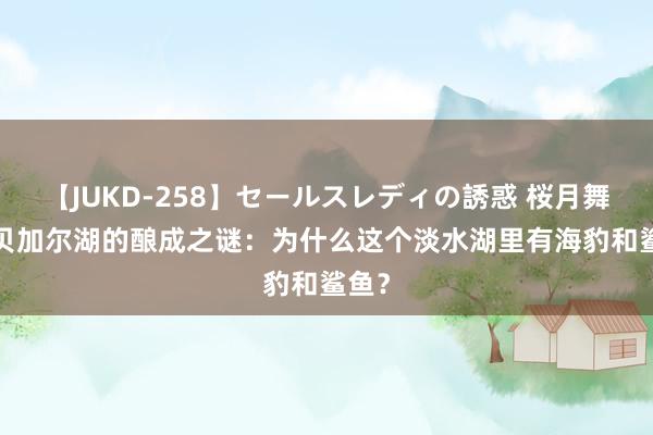 【JUKD-258】セールスレディの誘惑 桜月舞 他 贝加尔湖的酿成之谜：为什么这个淡水湖里有海豹和鲨鱼？