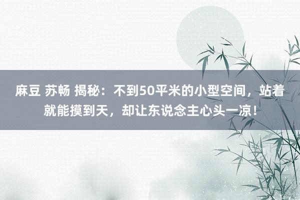 麻豆 苏畅 揭秘：不到50平米的小型空间，站着就能摸到天，却让东说念主心头一凉！