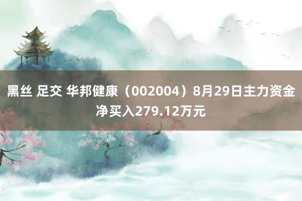 黑丝 足交 华邦健康（002004）8月29日主力资金净买入279.12万元