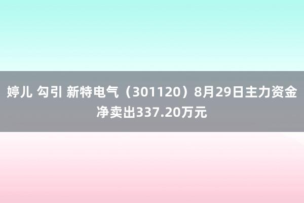 婷儿 勾引 新特电气（301120）8月29日主力资金净卖出337.20万元