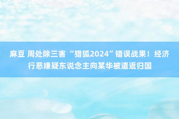 麻豆 周处除三害 “猎狐2024”错误战果！经济行恶嫌疑东说念主向某华被遣返归国