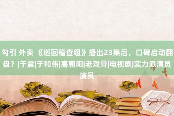 勾引 外卖 《巡回稽查组》播出23集后，口碑启动翻盘？|于震|于和伟|高朝阳|老戏骨|电视剧|实力派演员