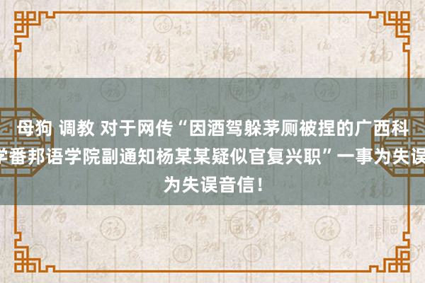 母狗 调教 对于网传“因酒驾躲茅厕被捏的广西科技大学番邦语学院副通知杨某某疑似官复兴职”一事为失误音信！