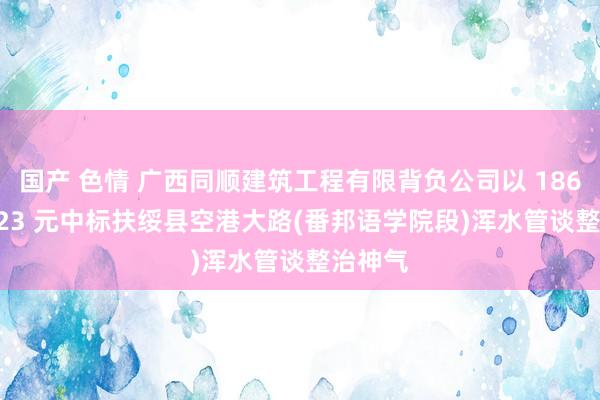 国产 色情 广西同顺建筑工程有限背负公司以 1869565.23 元中标扶绥县空港大路(番邦语学院段)浑水管谈整治神气