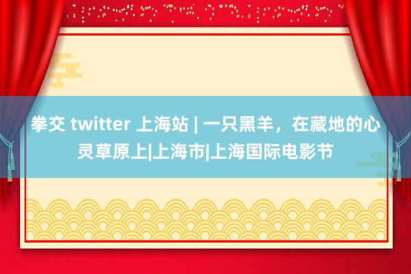 拳交 twitter 上海站 | 一只黑羊，在藏地的心灵草原上|上海市|上海国际电影节