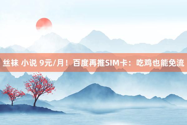 丝袜 小说 9元/月！百度再推SIM卡：吃鸡也能免流