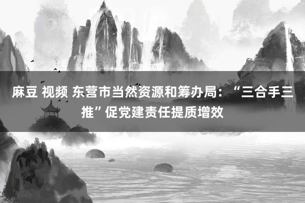 麻豆 视频 东营市当然资源和筹办局：“三合手三推”促党建责任提质增效