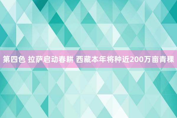 第四色 拉萨启动春耕 西藏本年将种近200万亩青稞